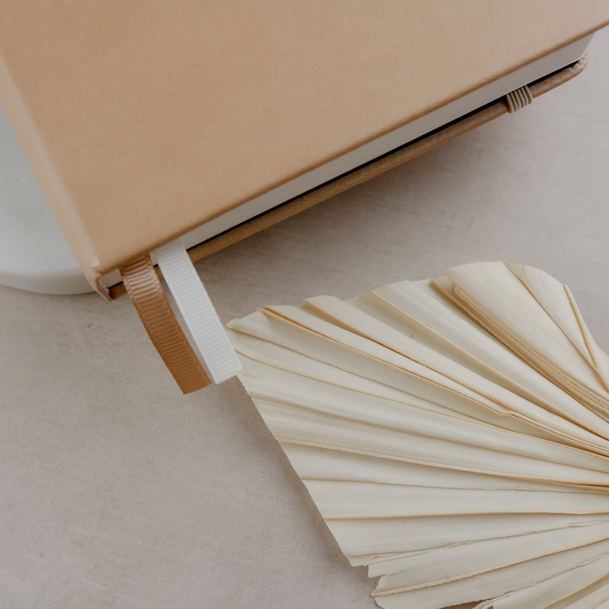Coffee theme  Bullet Journal beige 