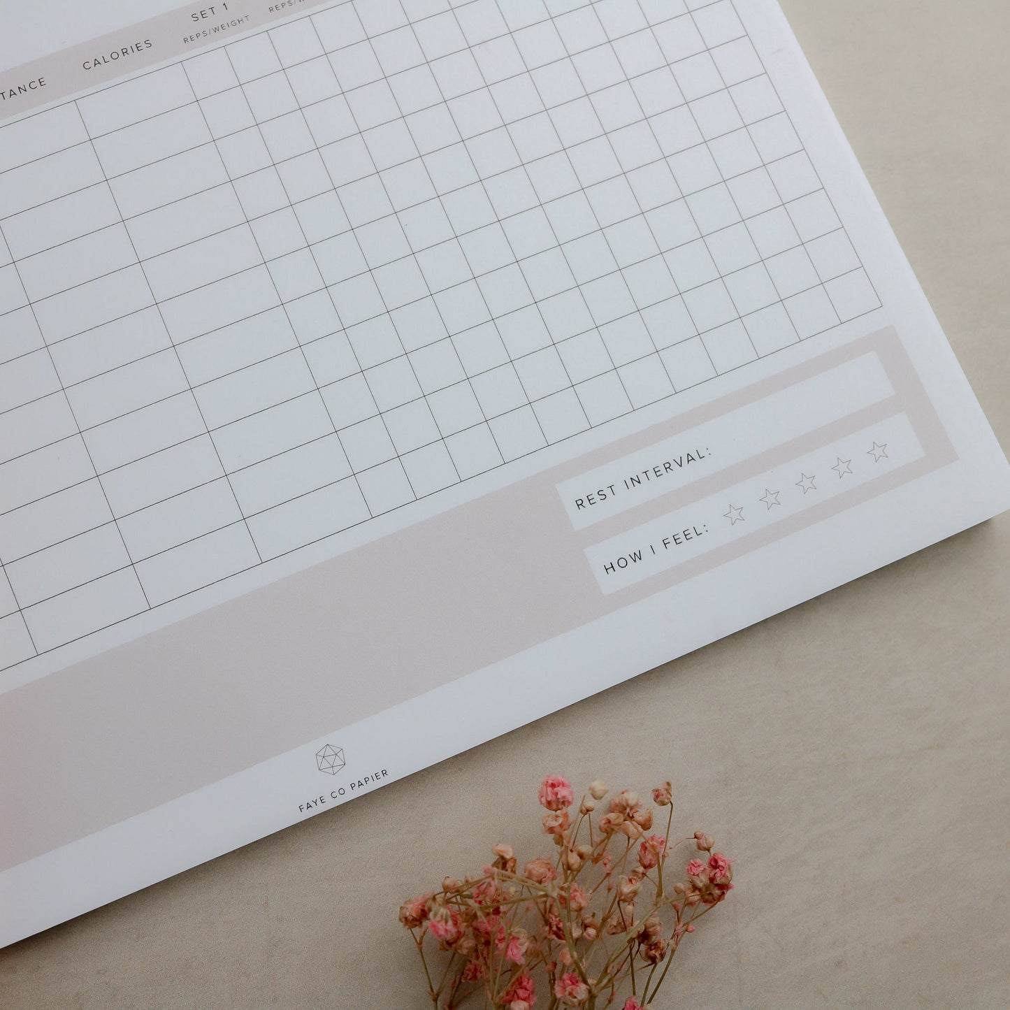 Minimal Daily Workout Planner Notepad - Faye Co Papier